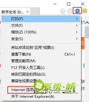 win10“Internet Explorer已停止工作”解决方法 二