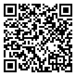 功夫疾走闪电城市英雄破解版二维码图片