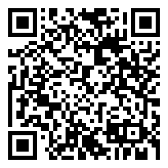 极速疯狂2内购版二维码图片