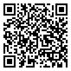 模拟飞行2021手机破解版二维码图片