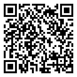 电脑大亨2安卓版二维码图片