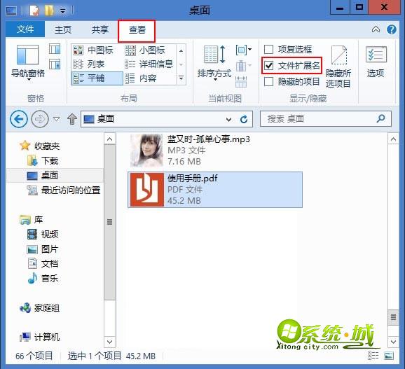 查看文件选项卡