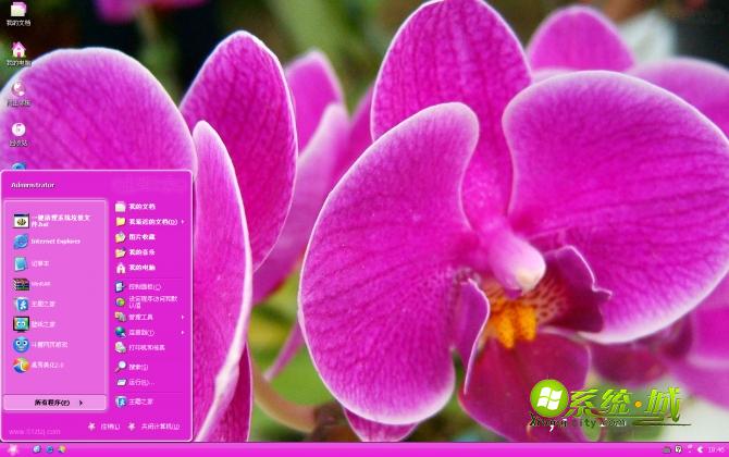 紫色鲜花xp主题壁纸