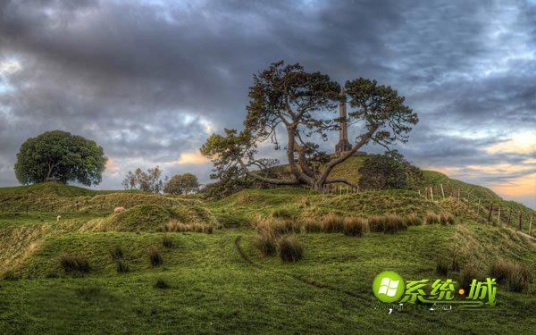 一树山电脑壁纸