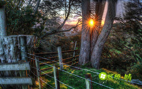 一树山风景壁纸