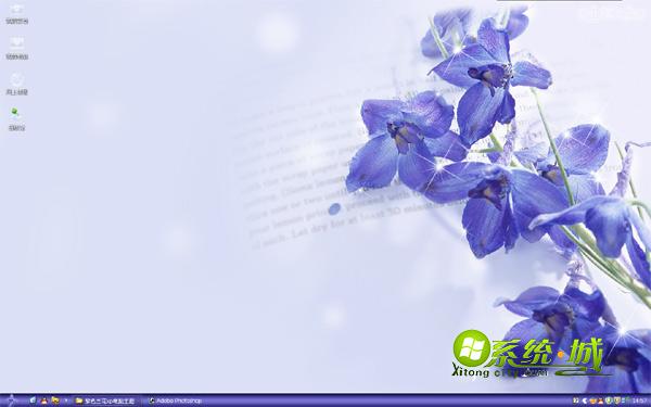 紫色兰花win8主题壁纸