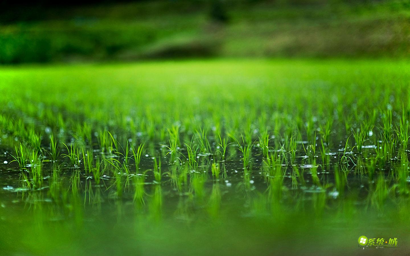 绿色春耕win7系统主题