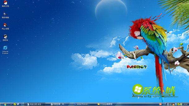 七彩鹦鹉xp桌面壁纸