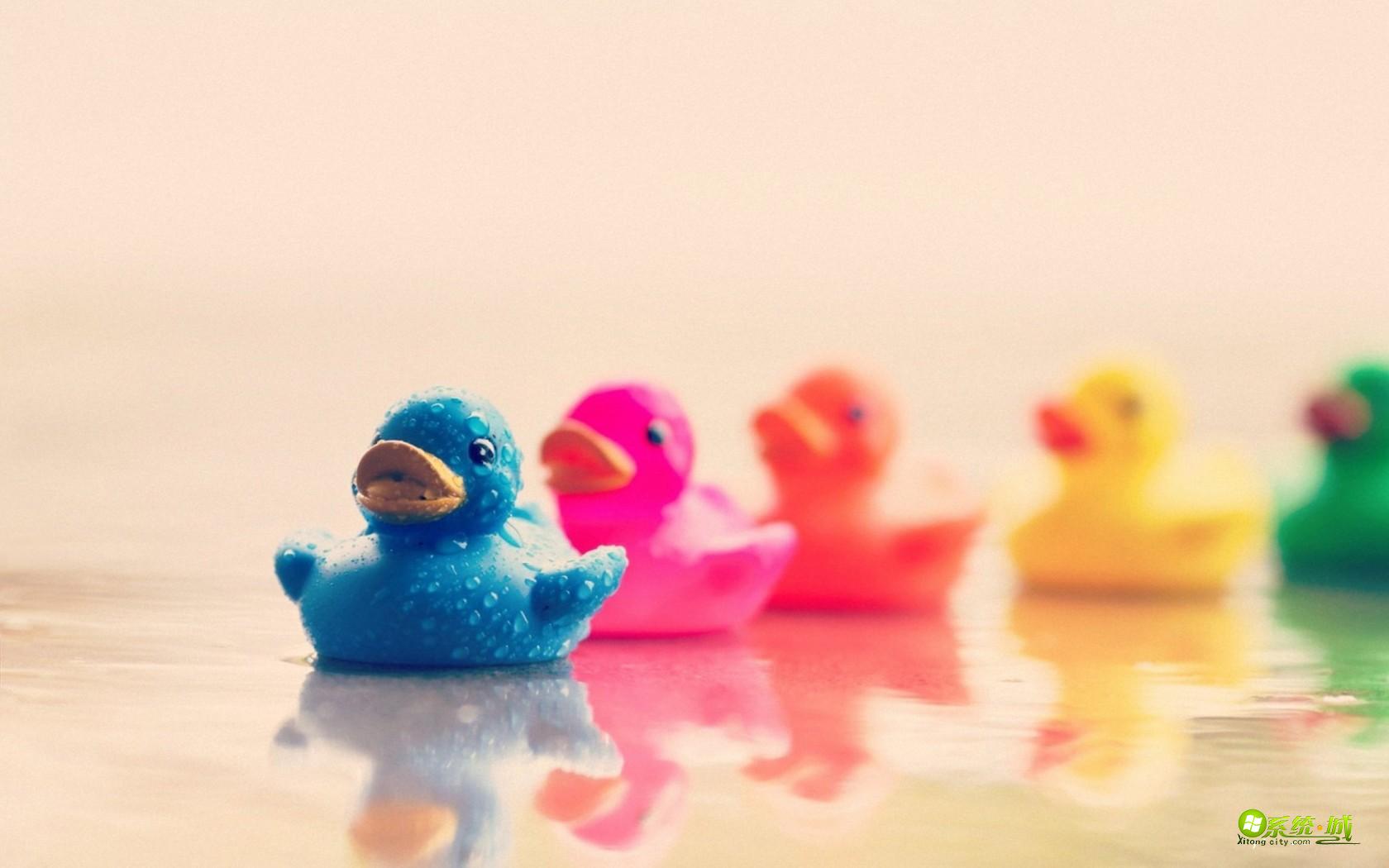 彩色鸭子xp个性电脑主题下载