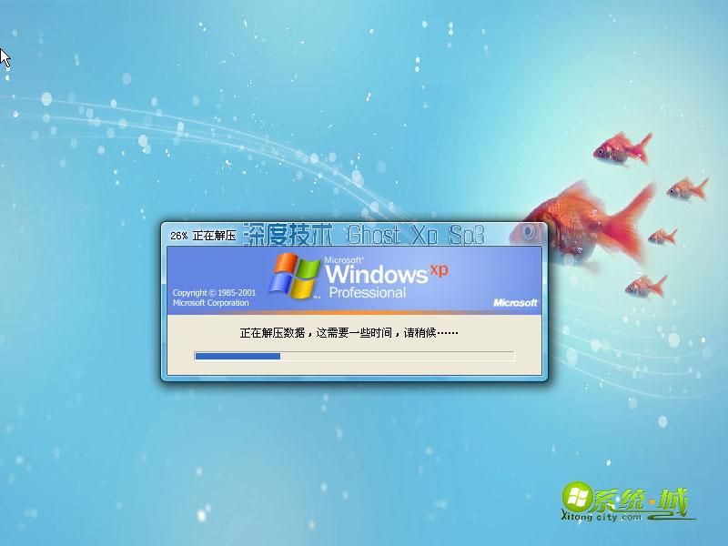 深度技术 Xp 安全装机版系统安装过程二