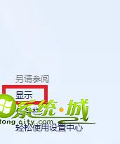 选择“显示”选项