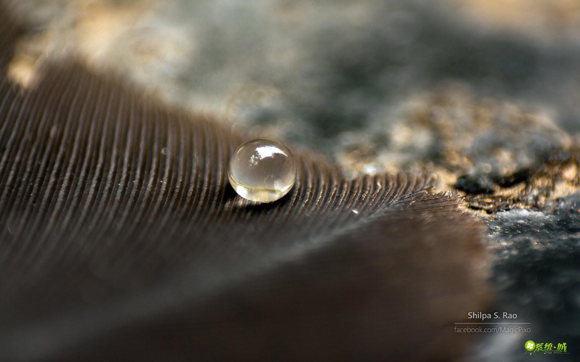 win8系统题“璀璨星河”露珠下载