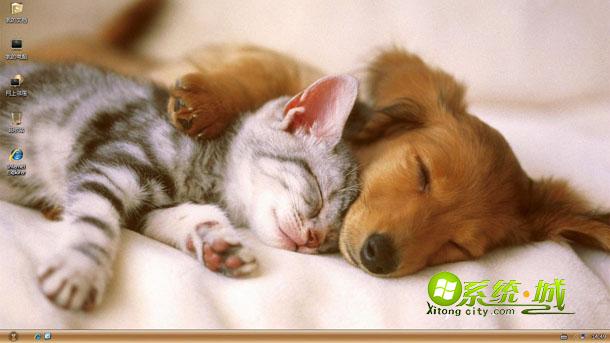 贪睡猫狗电脑xp系统桌面主题