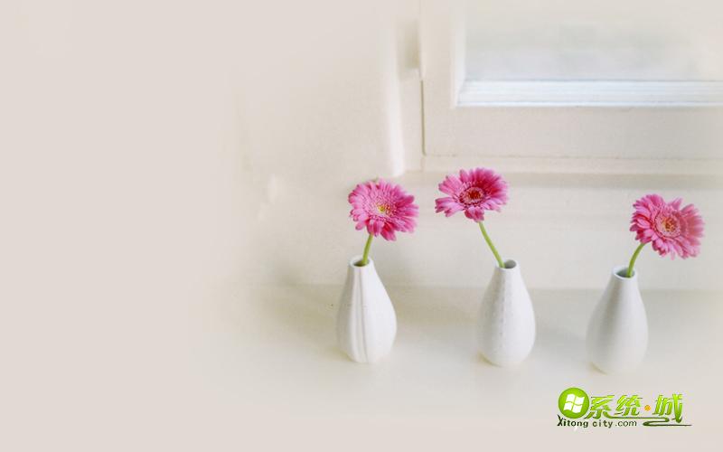 唯美窗台xp系统主题桌面