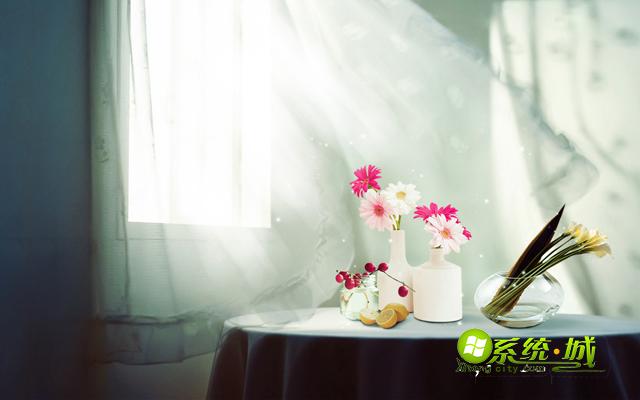 午后阳光下的花朵xp主题桌面